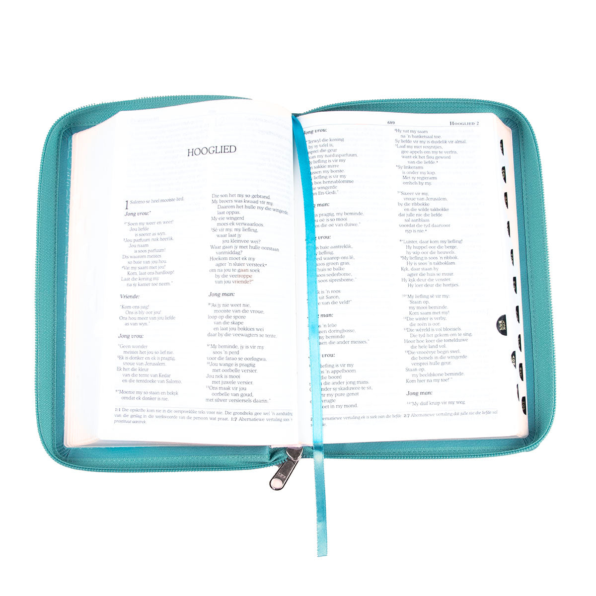 NLV Standaard Bybel Met Rits Blougroen (Kunsleer)