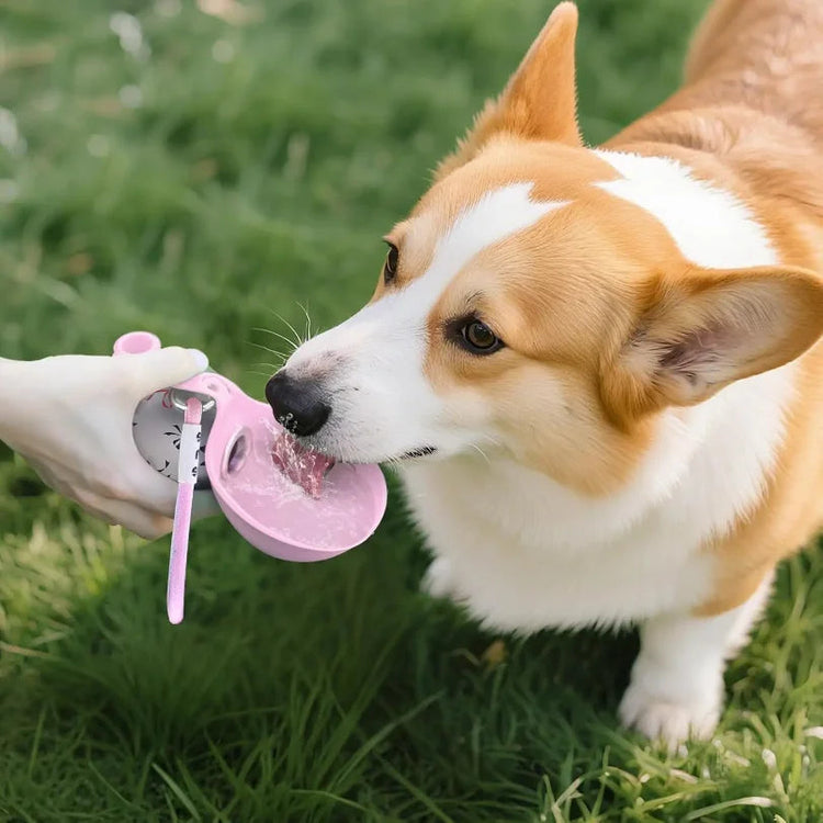 Animal & Pet Supplies