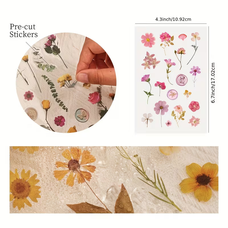 Growing at my own Pace Kit
