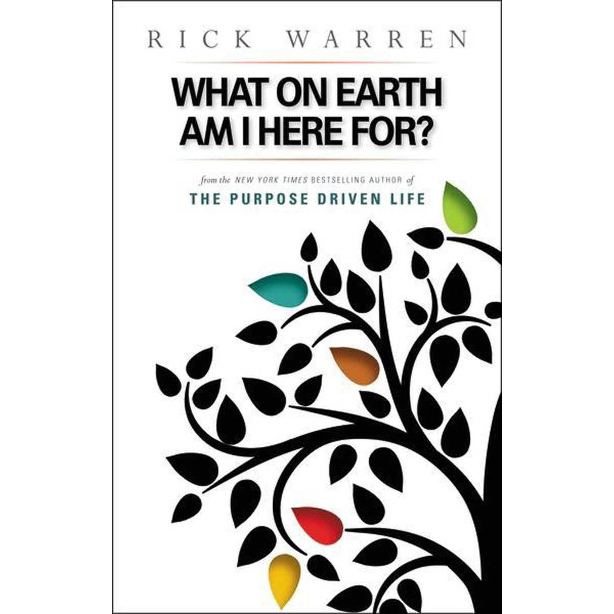 What On Earth Am I Here For (Value Book)(Paperback)