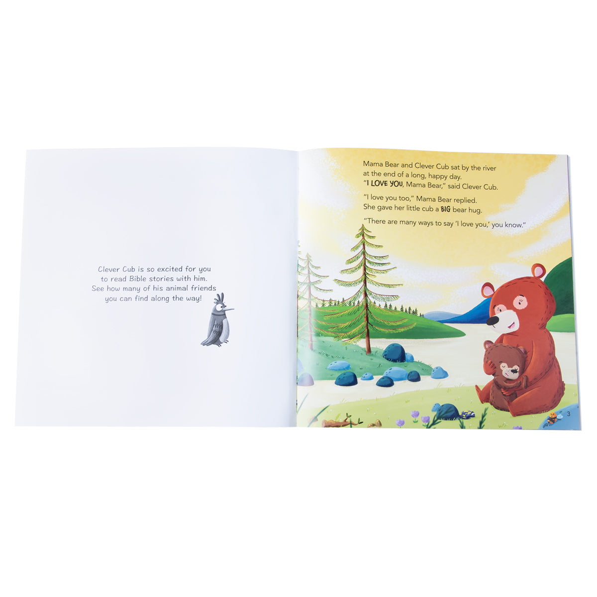 Clever Cub Learns About Love (Paperback)