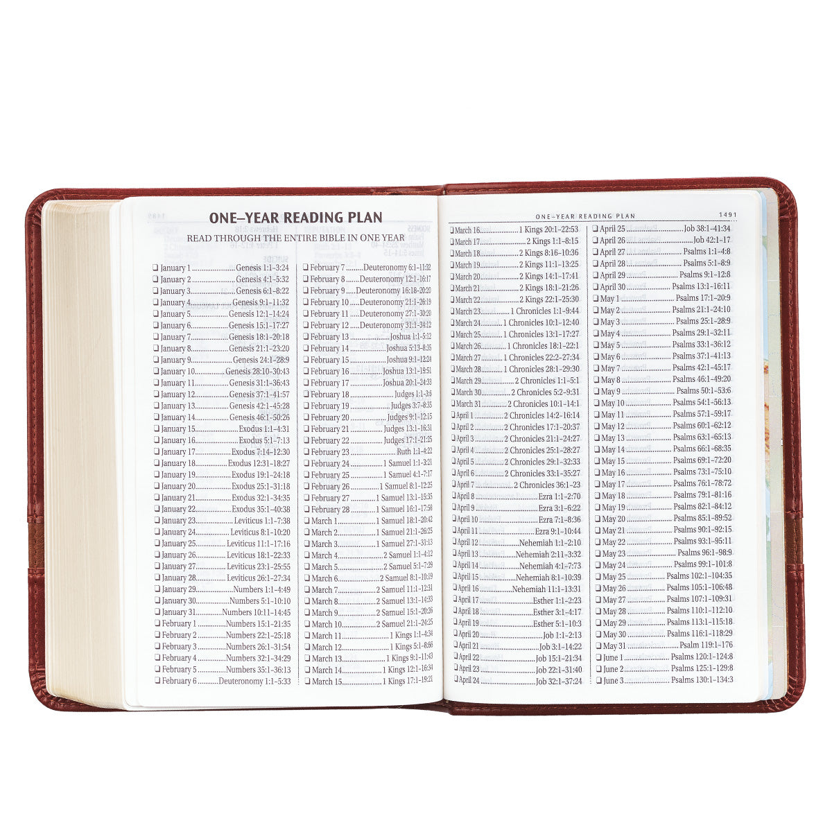 KJV Large Print Compact Brown Red Letters (Imitation Leather)