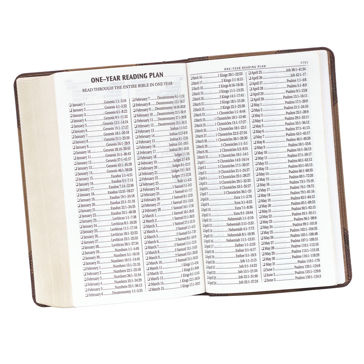 KJV Giant Print Standard Tan/Brown Red Letters (Imitation Leather)