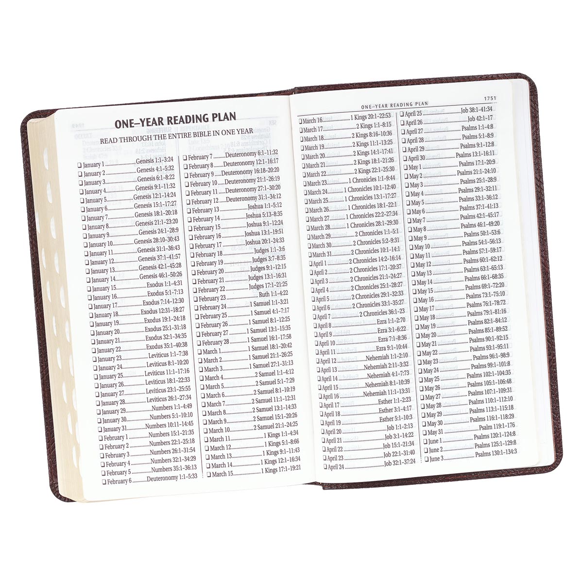 KJV Giant Print Standard Brown Red Letters With Thumb Indexed (Imitation Leather)