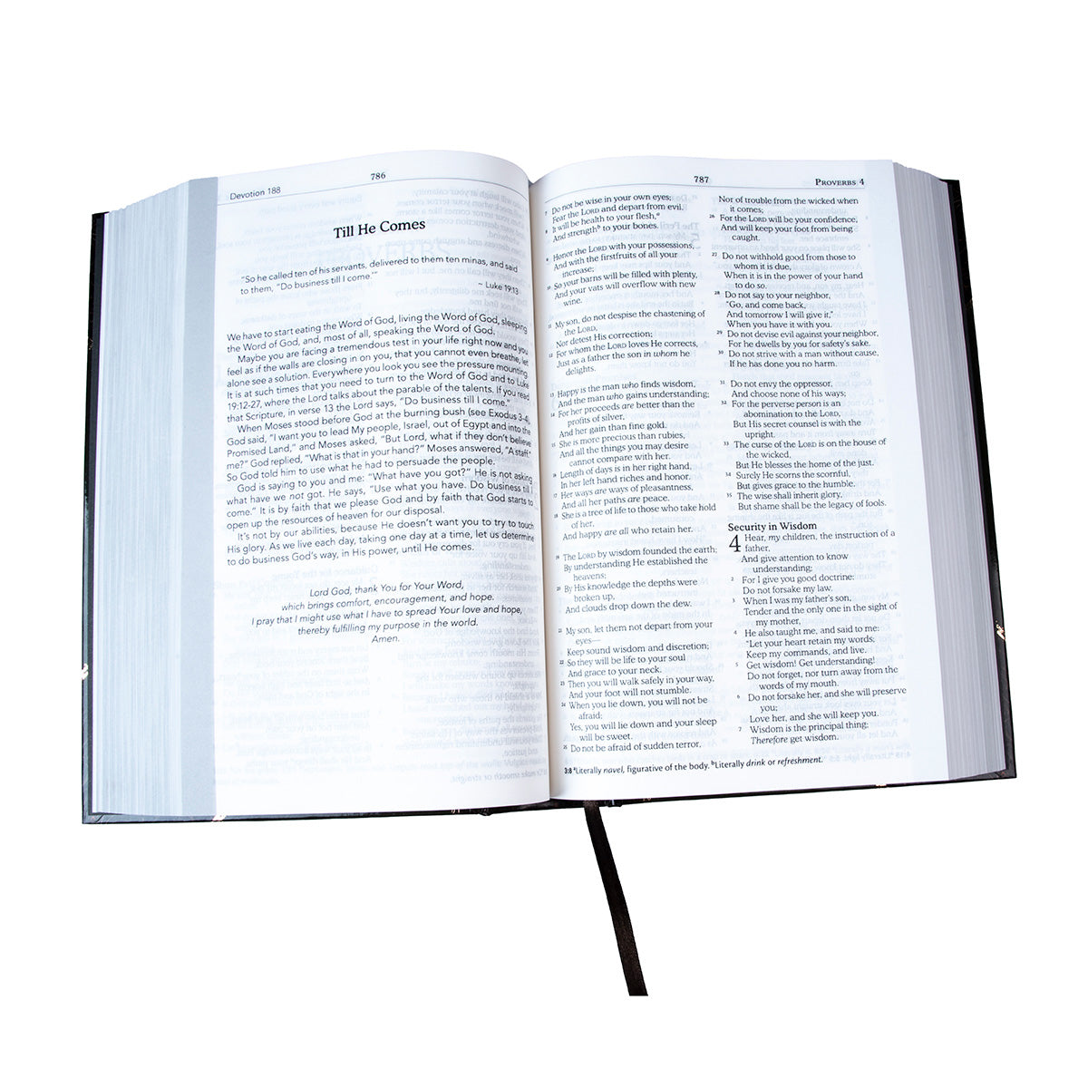 NKJV The Bible With Grassroot Reflections (Hardcover)