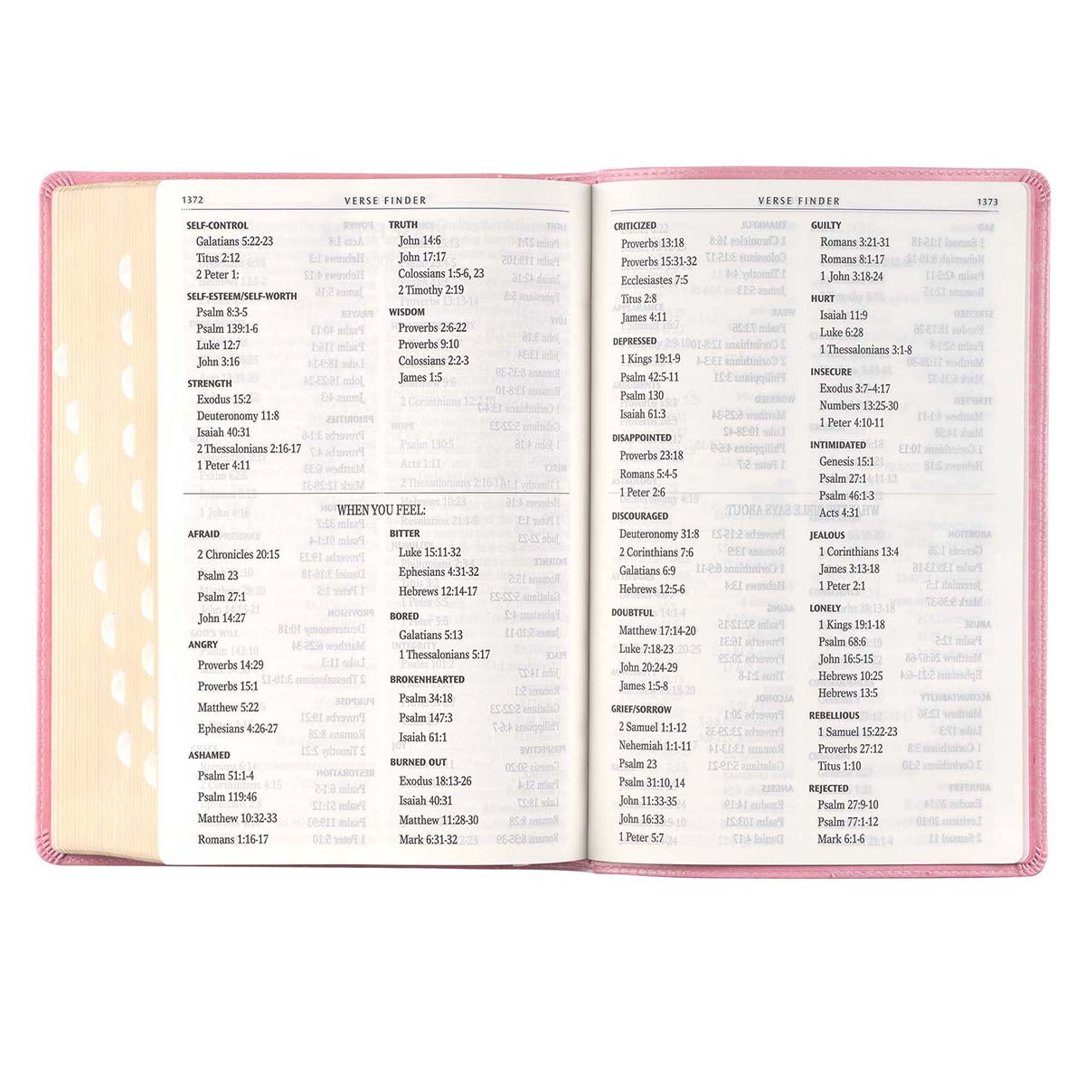 KJV Full-Size Bible Giant Print Indexed Pink (Imitation Leather)