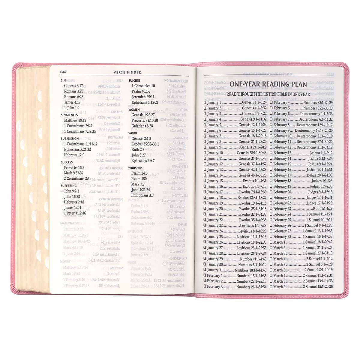 KJV Full-Size Bible Giant Print Indexed Pink (Imitation Leather)