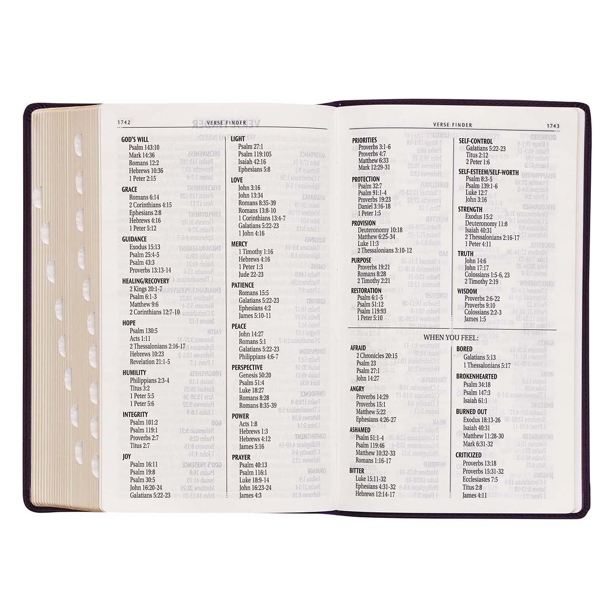 KJV Giant Print With Thumb Indexed Purple (Imitation Leather)