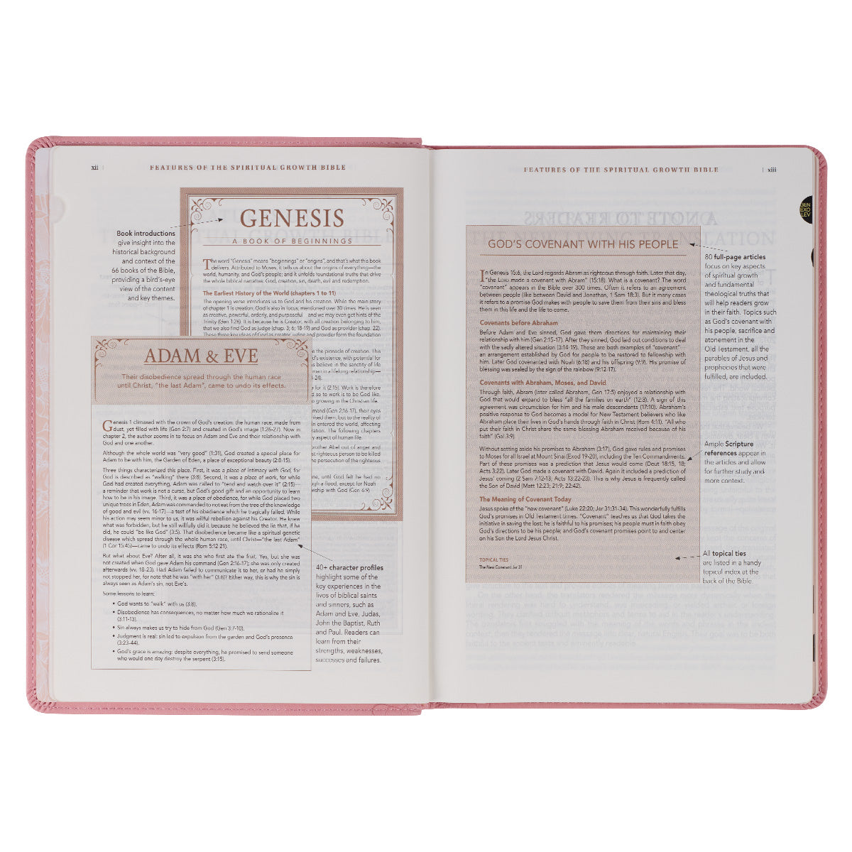 NLT The Spiritual Growth Bible Thumb Indexed Pink (Imitation Leather)