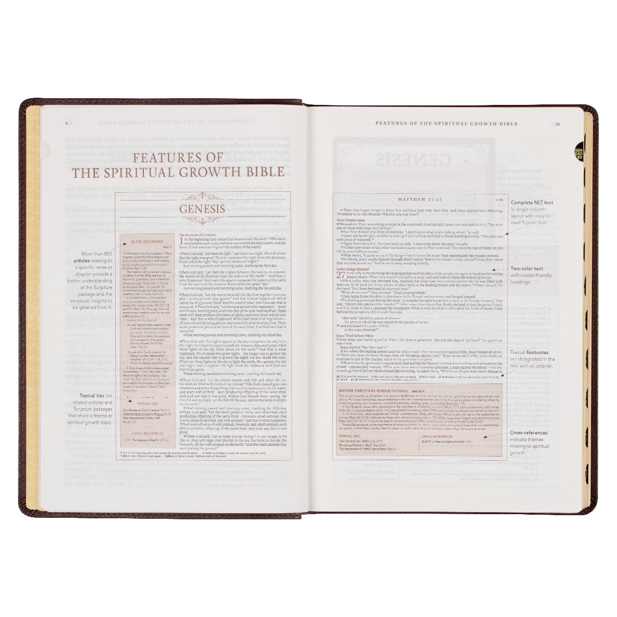 NLT The Spiritual Growth Bible Thumb Indexed Dark Brown (Imitation Leather)