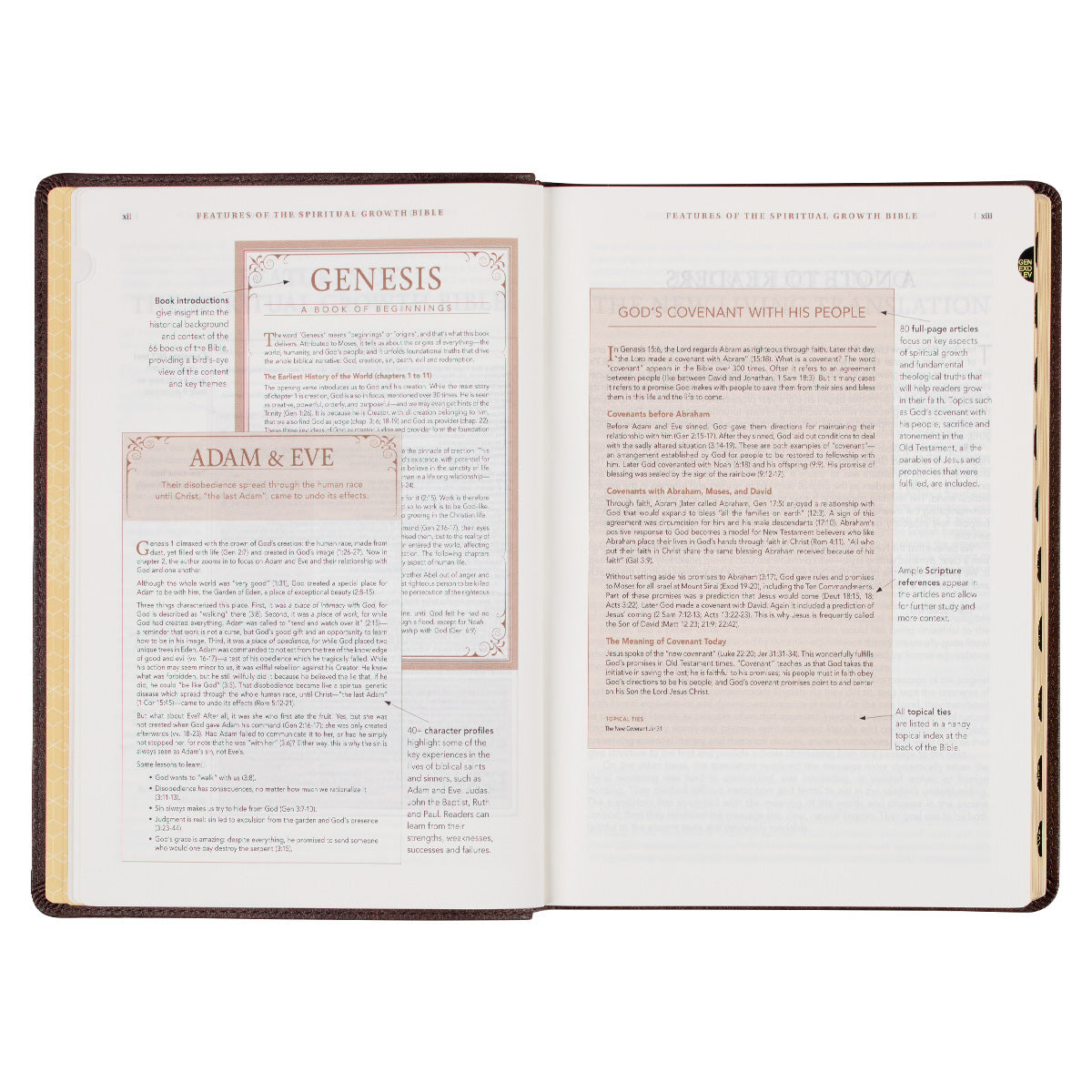 NLT The Spiritual Growth Bible Thumb Indexed Dark Brown (Imitation Leather)