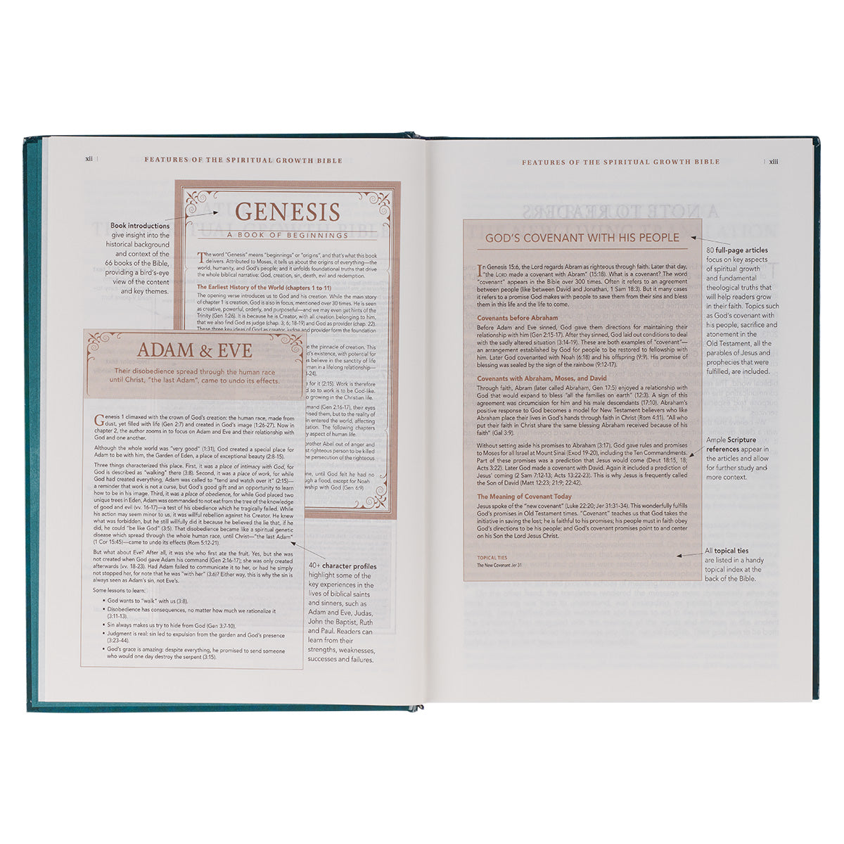 NLT The Spiritual Growth Bible Teal (Hardcover)