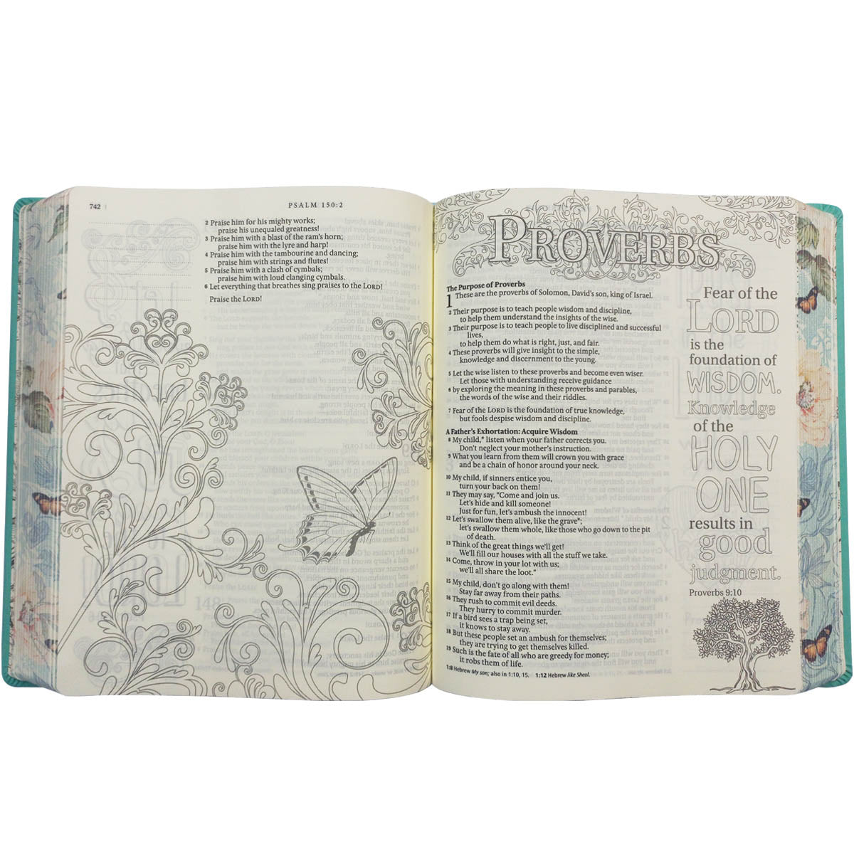 NLT Inspire Bible Revised Edition Aquamarine (Imitation Leather)