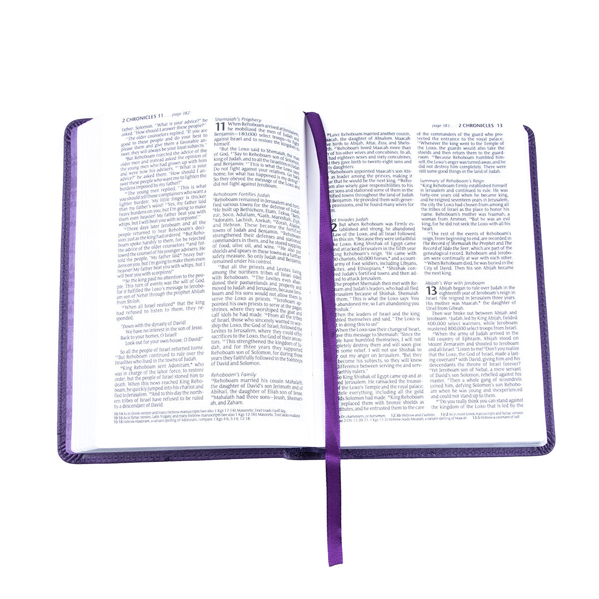 NLT Compact Bible Purple (Imitation Leather)