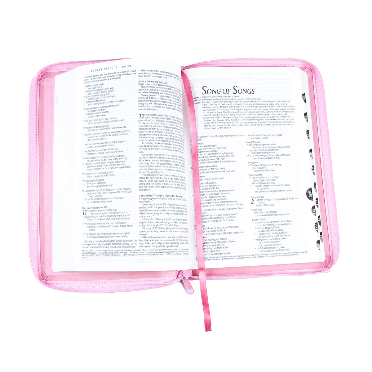 NLT Standard Bible Thumb Indexed With Zip Pink