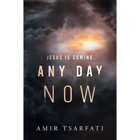 Any Day Now (Paperback)