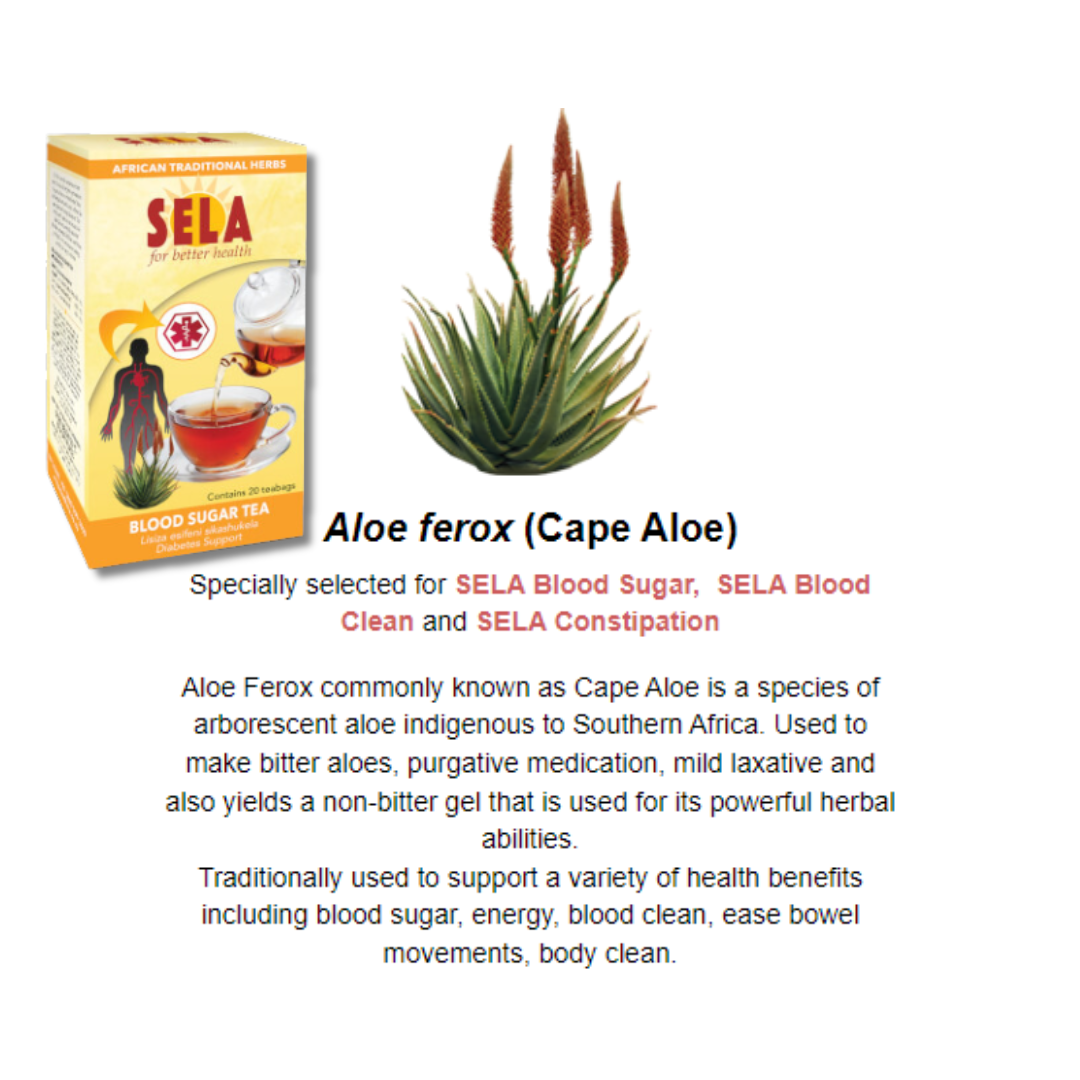 SELA Blood Sugar Tea 20s