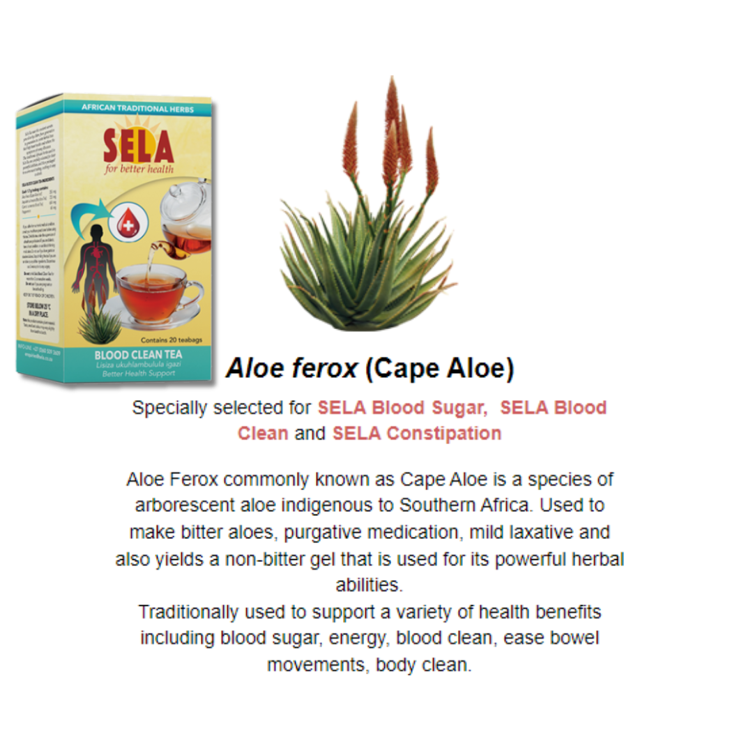 SELA Blood Clean Tea 20s