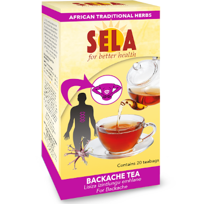 SELA Backache Tea 20s