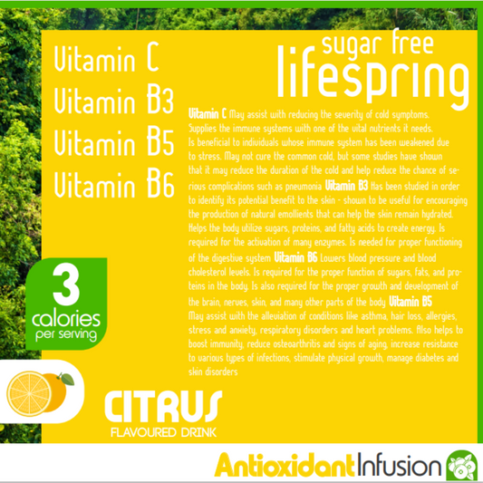 Eden Lifespring Citrus Vitamin Water - Sugar Free 500ml