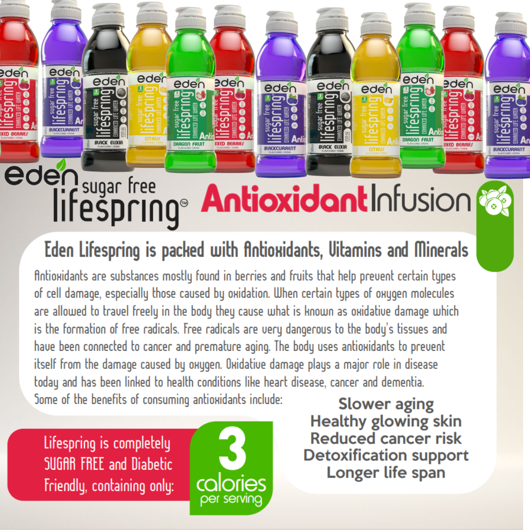 Eden Lifespring Mixed Berries Water - Sugar Free 500ml