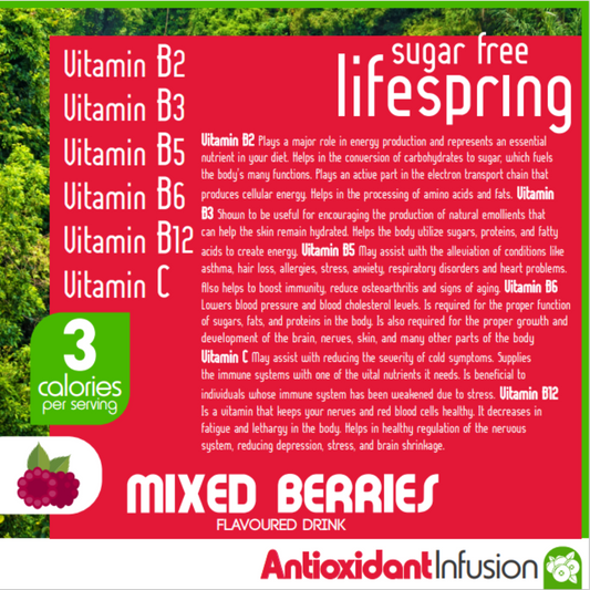 Eden Lifespring Mixed Berries Water - Sugar Free 500ml