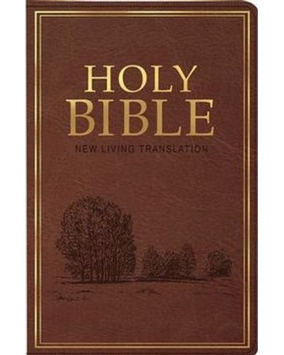 NLT standard indexed Bible brown