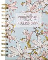 Hope & A Future (Large HB Wirebound Journal)